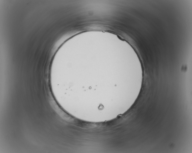 X0000111881195200908201250
