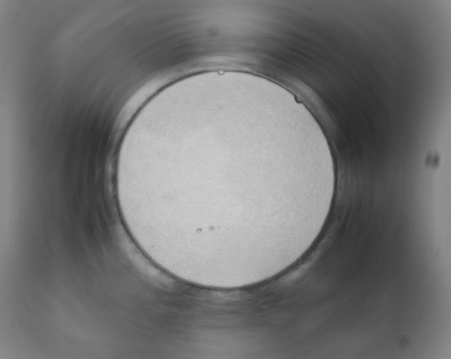 X0000111881196200908201250