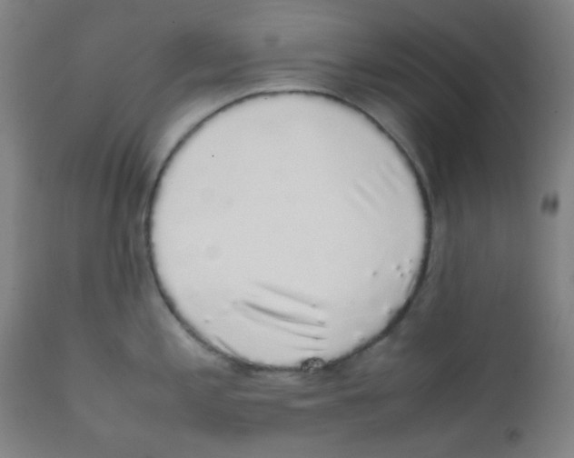 X0000111881197200908201250