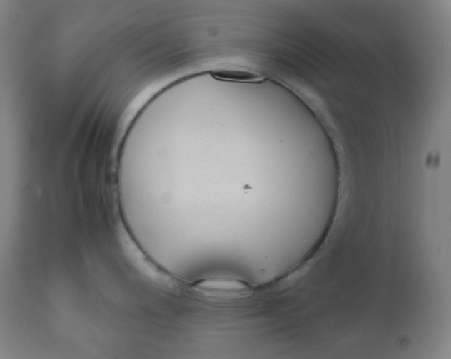 X0000111881200200908201250