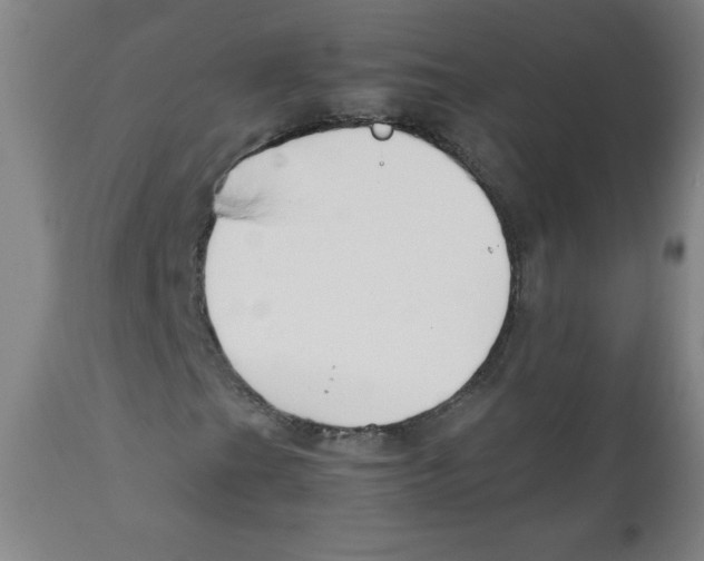 X0000111881201200908201249