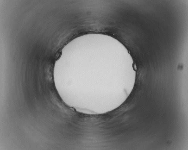 X0000111881202200908201249