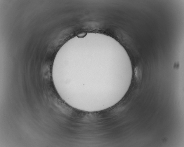 X0000111881203200908201249