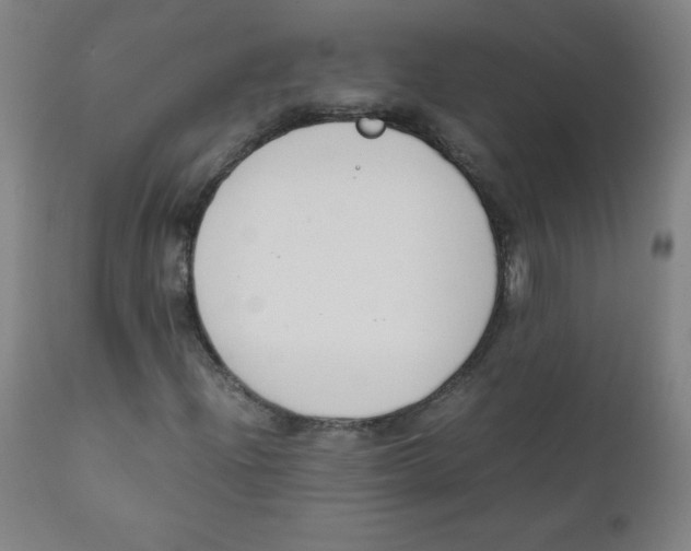 X0000111881204200908201249