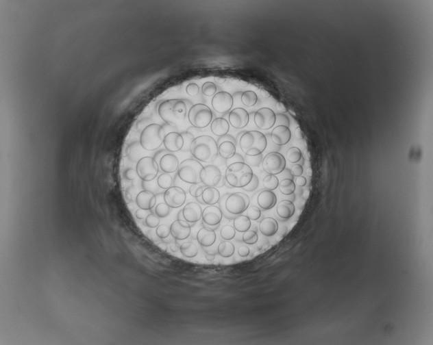 X0000111881205200908201249