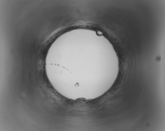 X0000111881206200908201249