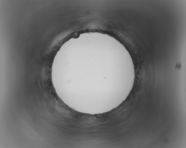 X0000111881207200908201249