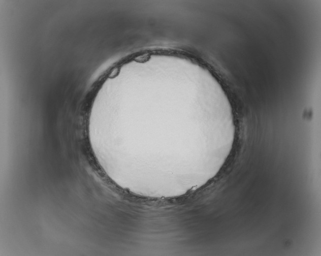 X0000111881208200908201249