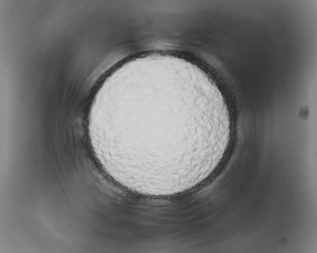 X0000111881209200908201249
