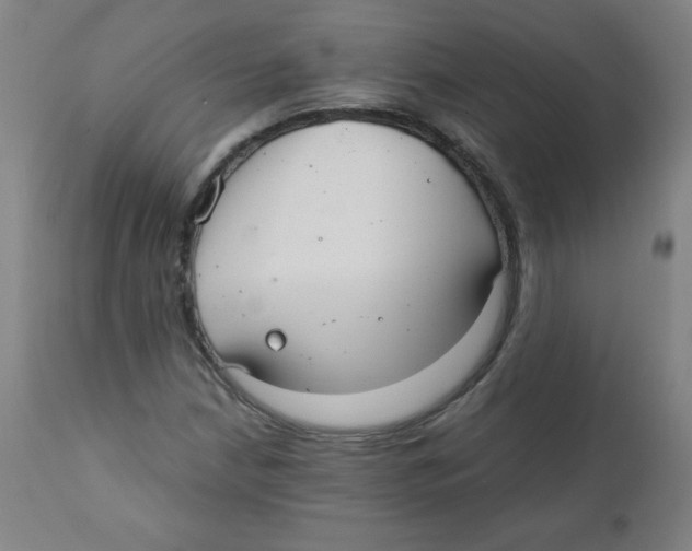 X0000111881210200908201249