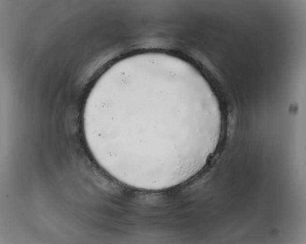 X0000111881213200908201249