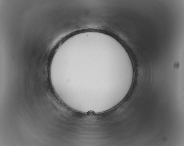 X0000111881214200908201249