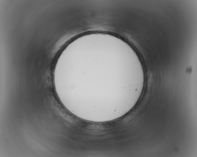 X0000111881215200908201249