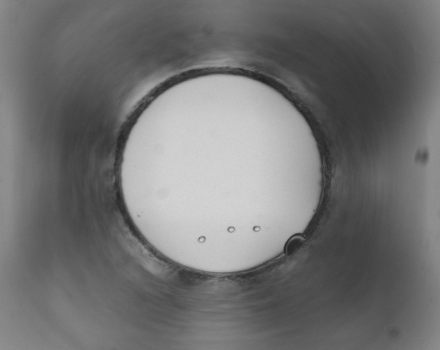X0000111881216200908201249