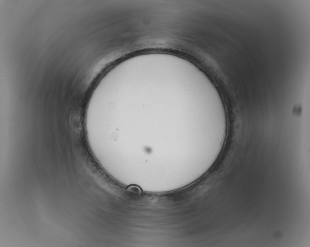 X0000111881218200908201249