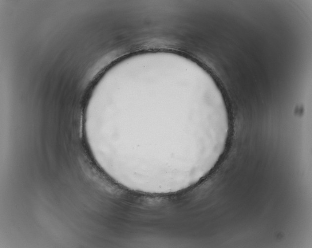 X0000111881219200908201249