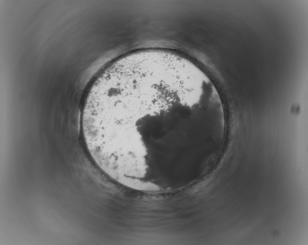 X0000111881221200908201249