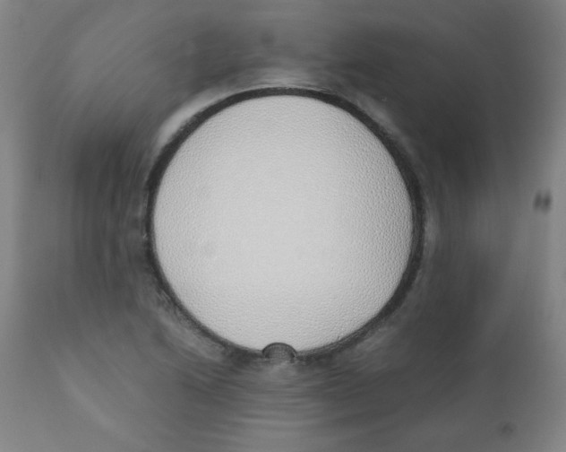X0000111881222200908201249
