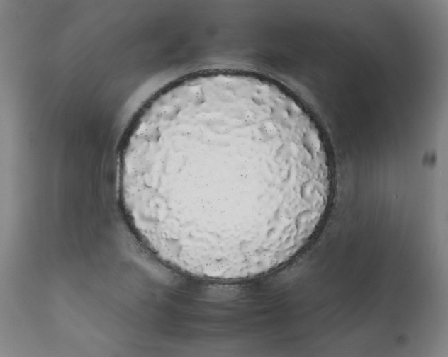 X0000111881223200908201249