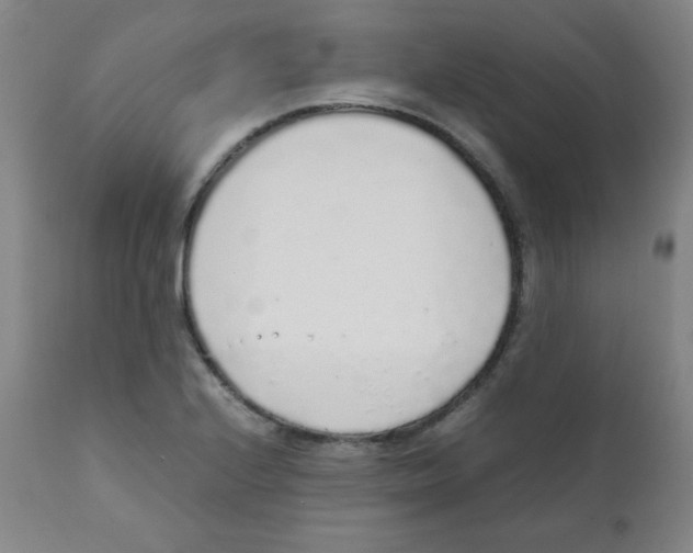 X0000111881224200908201249