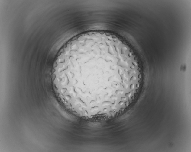 X0000111881225200908201249
