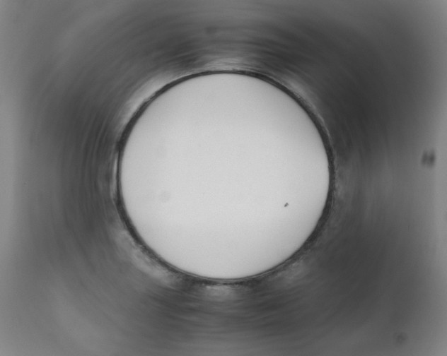 X0000111881227200908201250