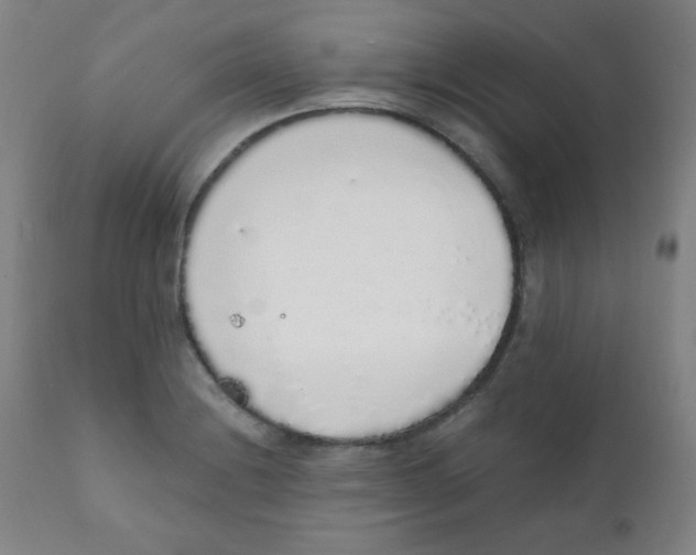 X0000111881228200908201250