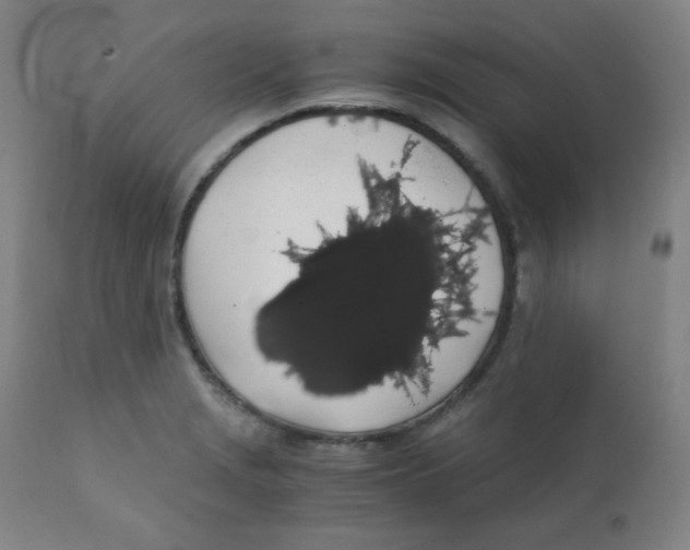 X0000111881229200908201250