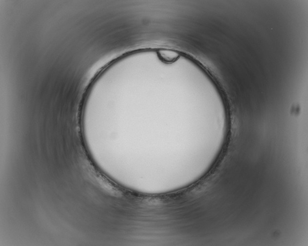 X0000111881230200908201250