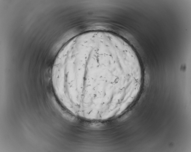 X0000111881233200908201250