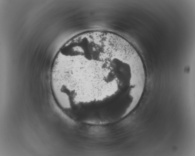 X0000111881239200908201250