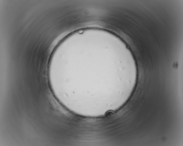 X0000111881240200908201250