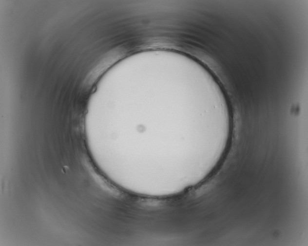 X0000111881241200908201250