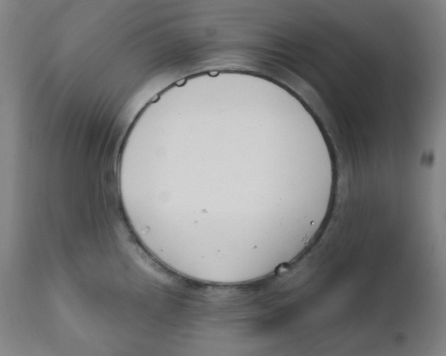 X0000111881242200908201250