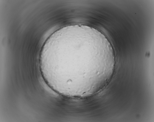 X0000111881243200908201250