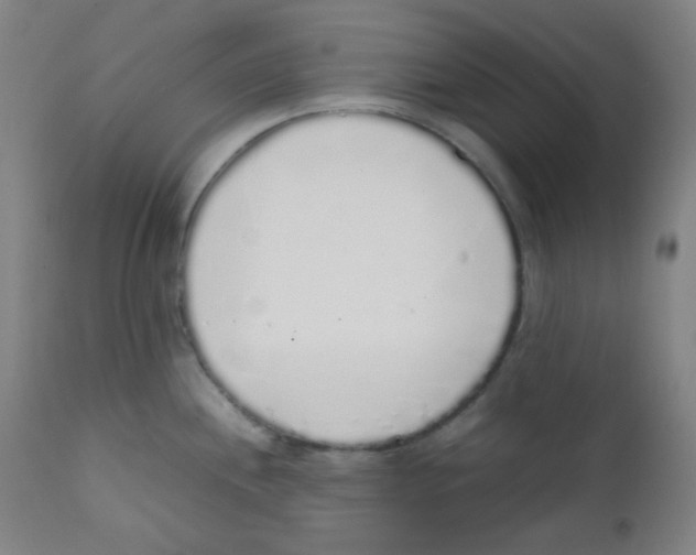 X0000111881244200908201250