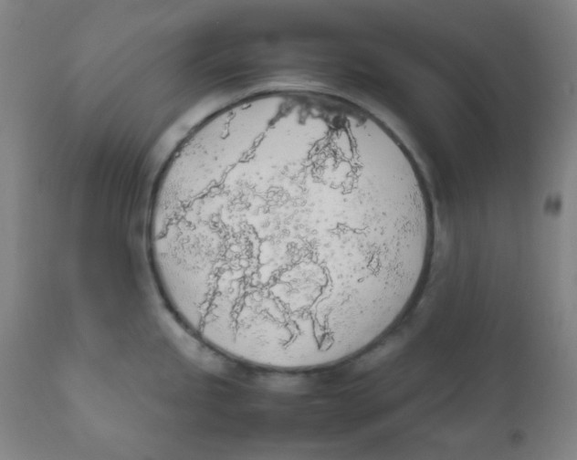 X0000111881245200908201250