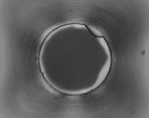 X0000111881246200908201250