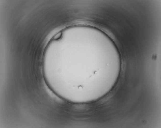 X0000111881247200908201250