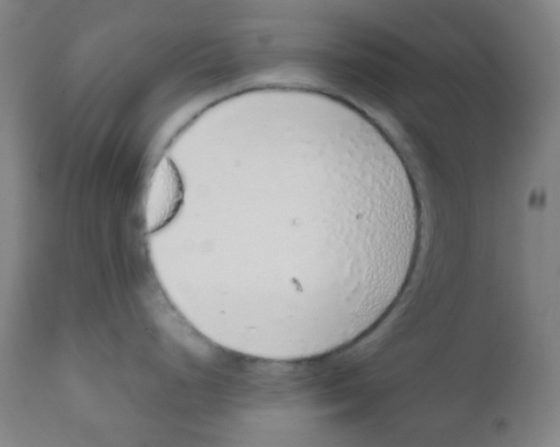 X0000111881248200908201250