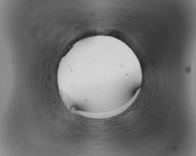 X0000111881249200908201249