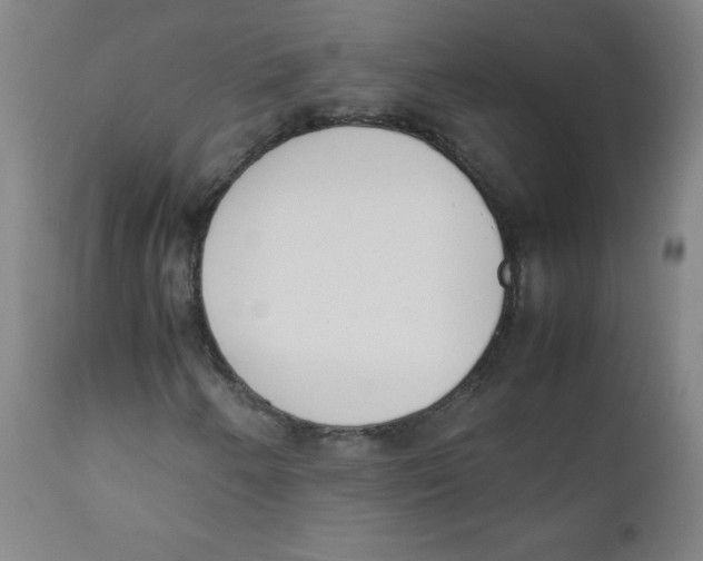 X0000111881250200908201249