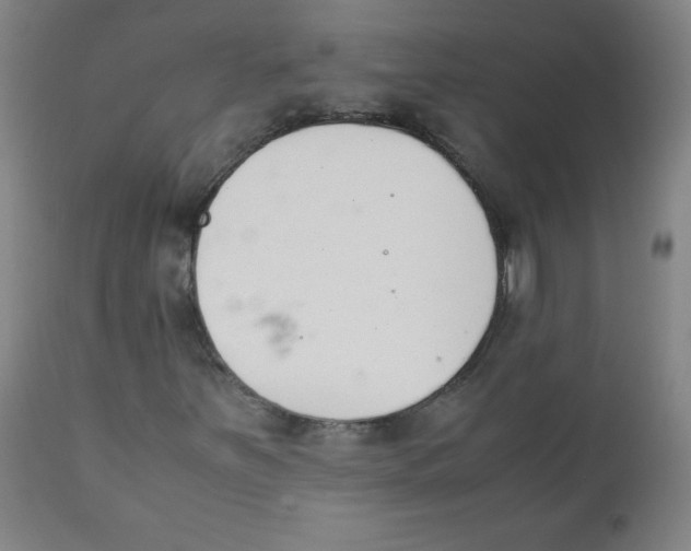 X0000111881251200908201249