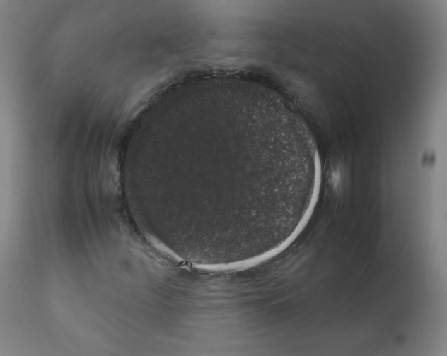 X0000111881252200908201249