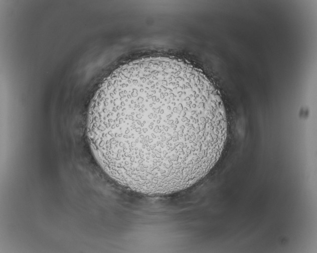 X0000111881253200908201249