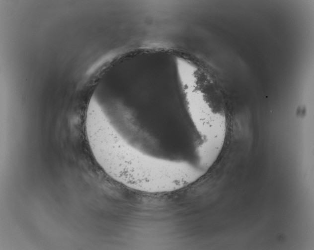 X0000111881254200908201249