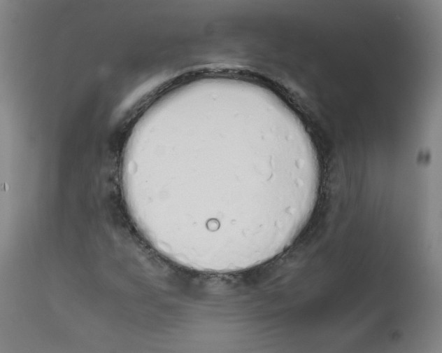 X0000111881255200908201249