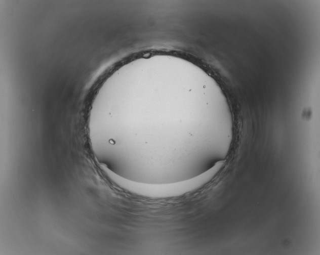 X0000111881256200908201249