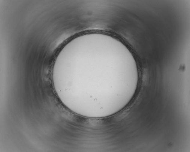 X0000111881258200908201249