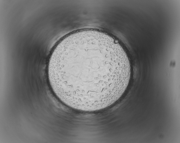 X0000111881260200908201249